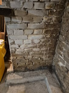 Kelderzwam Inspectus lekkage